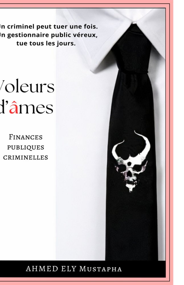 Voleurs d'âmes : finances publiques criminelles